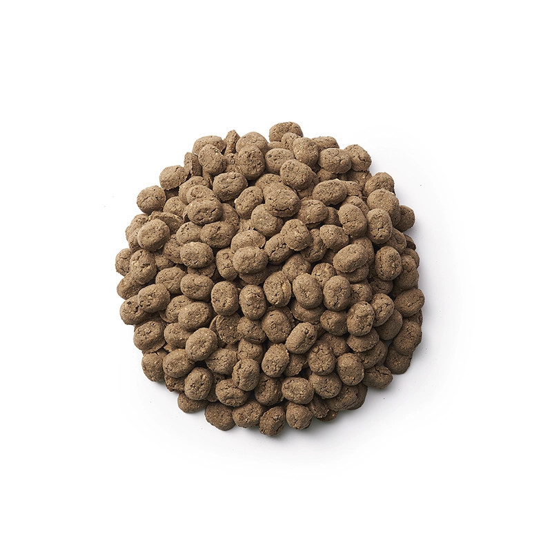 Ciasteczka ZAJĄC + KONOPIE SIEWNE [opakowanie 300 g]